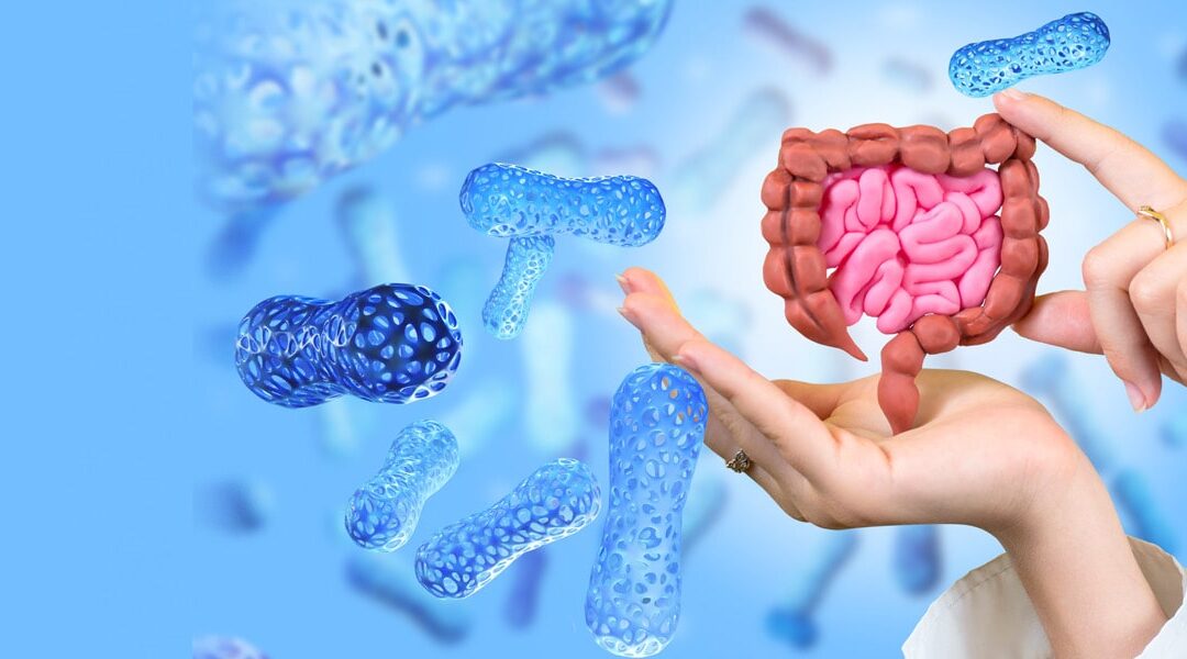 Radiant Skin Starts in the Gut: The Science of the Microbiome
