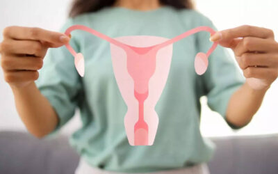 Blog 15 The PCOS Protocol: Achieving Hormonal Harmony Without the Guesswork