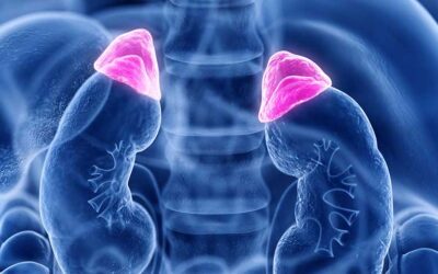 Blog 11 Top 5 Secrets of Adrenal Health: Why You’re Always “Tired but Wired”