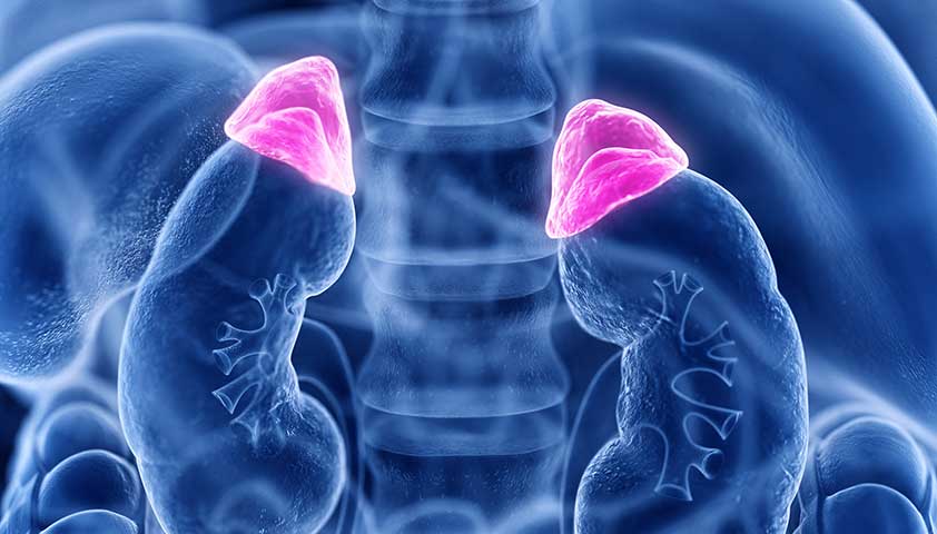 Top 5 Secrets of Adrenal Health: Why You’re Always “Tired but Wired”