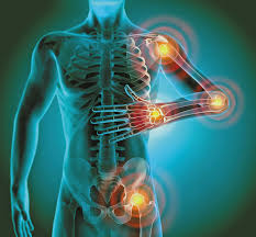 Blog 4 Tips to Reduce Inflammation & Improve Immunity