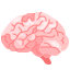 service icon