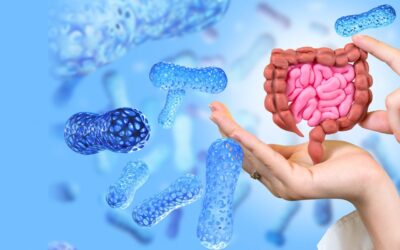 Blog 11 Radiant Skin Starts in the Gut: The Science of the Microbiome