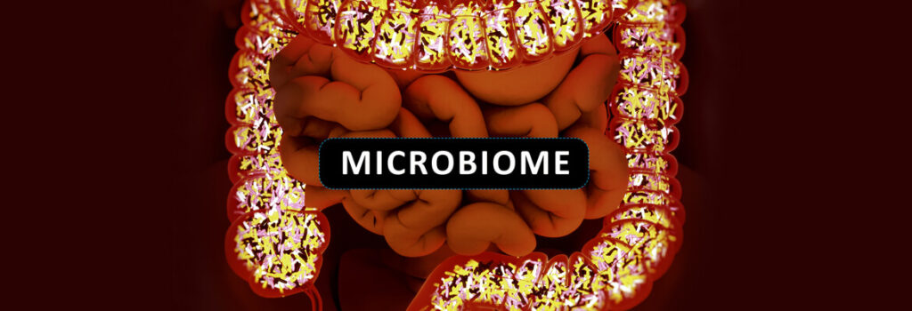 Radiant Skin Starts in the Gut: The Science of the Microbiome 1 microbiome test dubai